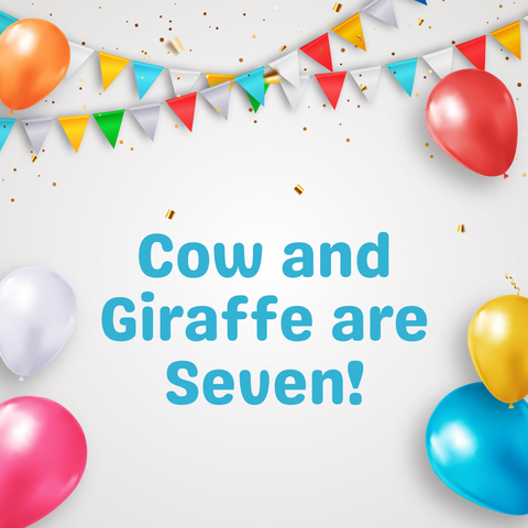 Happy Birthday To Us! Cow and Giraffe are 7!